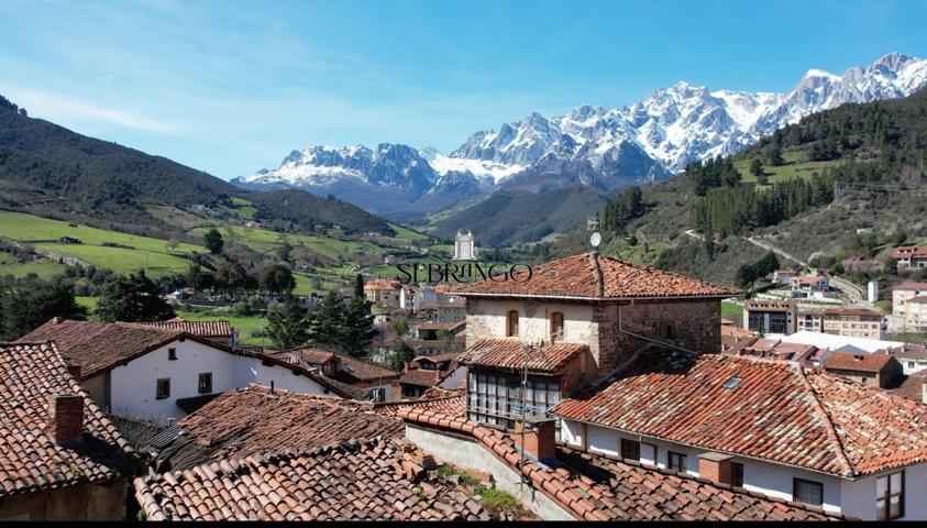 ¡¡BIENVENIDO AL CORAZÓN DE LOS PICOS DE EUROPA!! (no olvides ver el vídeo) photo 0