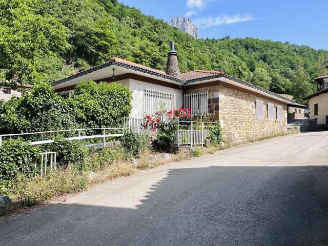 ¡¡DOS SUEÑOS EN UNO!! ¡¡LA CASA QUE SIEMPRE SOÑASTE EN EL PARAISO LEBANIEGO!! photo 0