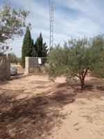 Parcela todo vallada con arboles de olivos en producción y casa de apero photo 0