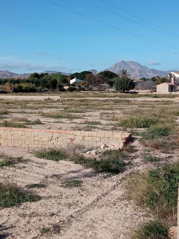 Parcela rústica ubicada a solo 12 km del centro de Alicante ciudad photo 0