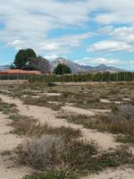 Terreno Urbanizable En venta en Mutxamel, Mutxamel photo 0