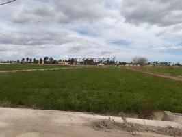 Venta de Terreno en Catral photo 0