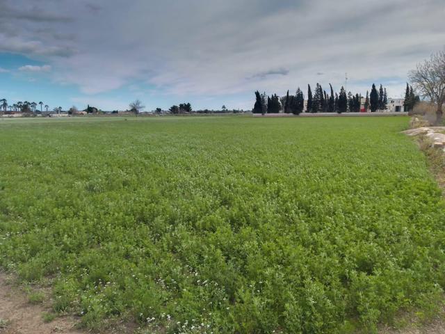 Venta de Terreno en Catral photo 0