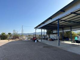 TERRENO AGRARIO EN VENTA EN EL PALMAR (MURCIA) photo 0