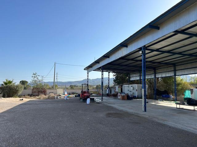 TERRENO AGRARIO EN VENTA EN EL PALMAR (MURCIA) photo 0
