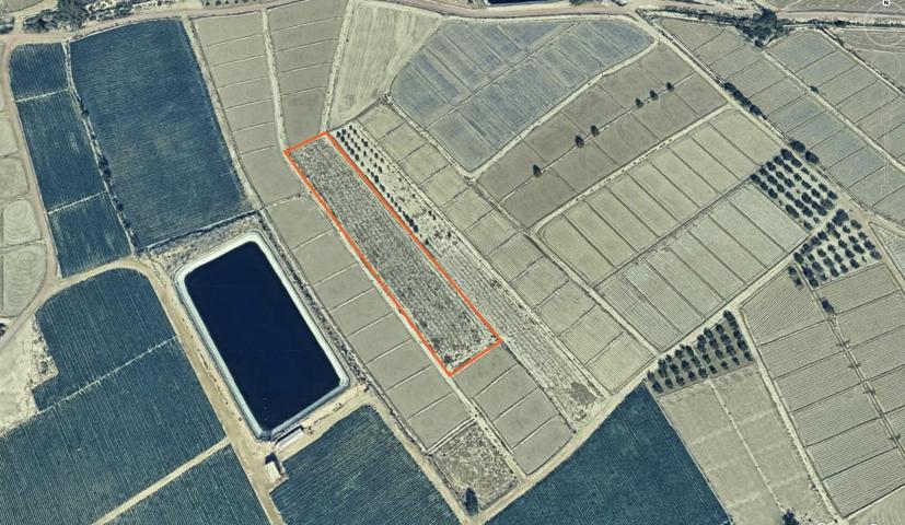 PARCELA RÚSTICA EN VENTA EN MERMEJO, TOTANA, MURCIA - 5810 M² 🏞️ photo 0