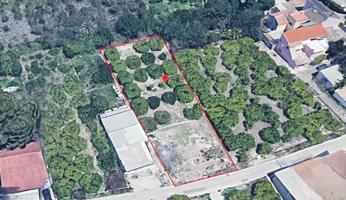 TERRENO DE 800 M² EN SAN GINÉS: URBANIZABLE, VERSÁTIL Y PERFECTAMENTE CONECTADO photo 0