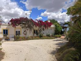 Finca rústica en venta en Algoda-Matola-Llano de San José photo 0