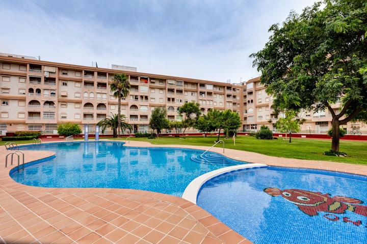 APARTAMENTO DE 2 DORMITORIOS CON VISTAS DESPEJADAS Y PISCINA COMUNITARIA EN TORREVIEJA photo 0