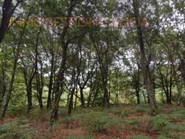 Otro En venta en Sarria photo 0