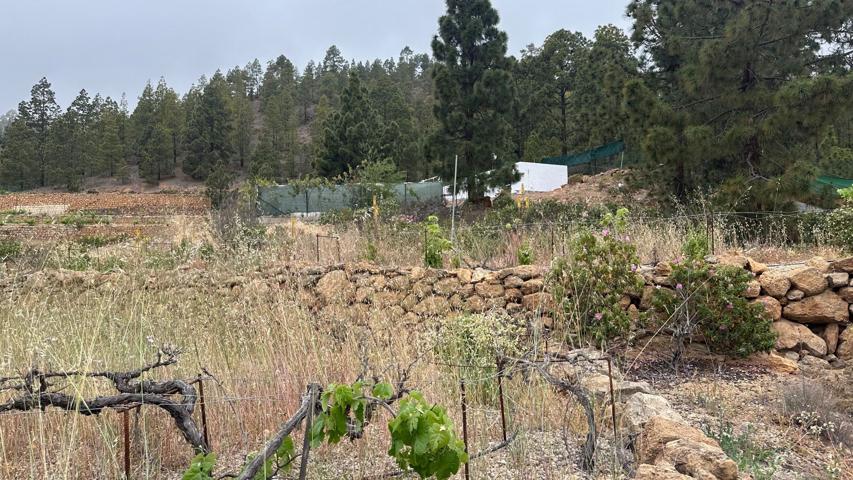 Casa En venta en Granadilla de Abona photo 0