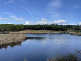 Espectacular conjunto de parcelas en primera línea de Golf en Sotogrande Alto photo 0