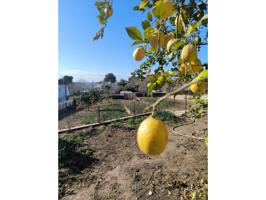 Terreno en venta en Sant Llorenç d'Hortons photo 0