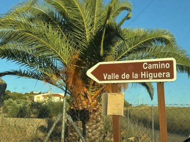 CASABANCO VENDE FINCA RÚSTICA EN CAMINO VALLE DE LA HIGUERA (MÉRIDA). photo 0