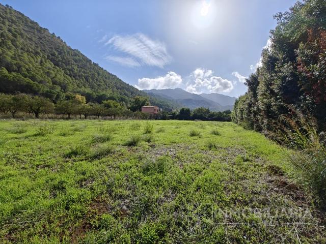 Otro En venta en Coín photo 0