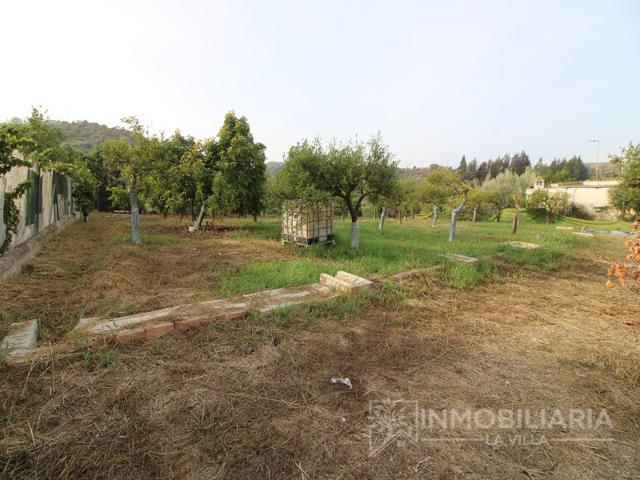 Otro En venta en Coín photo 0