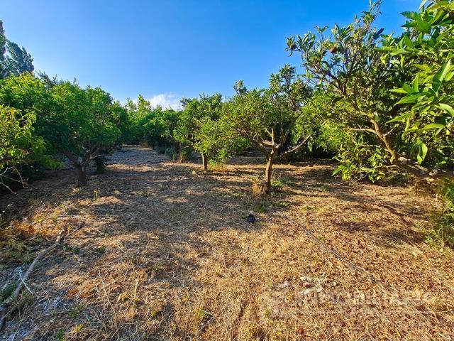 Otro En alquiler en Coín photo 0