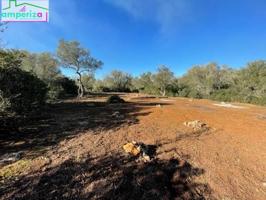 ! Terreno rústico edificable de 61.000 m² con proyecto aprobado photo 0