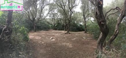 ¡Oportunidad única en Felanitx! Terreno rústico de 61.000 m2 con proyecto aprobado y obra ya iniciada photo 0