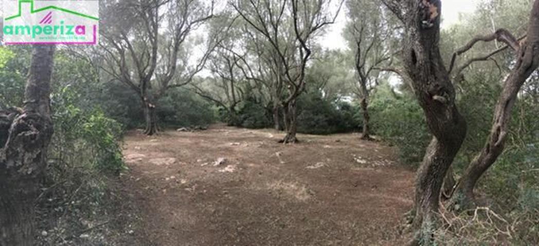 ¡Oportunidad única en Felanitx! Terreno rústico de 61.000 m2 con proyecto aprobado y obra ya iniciada photo 0