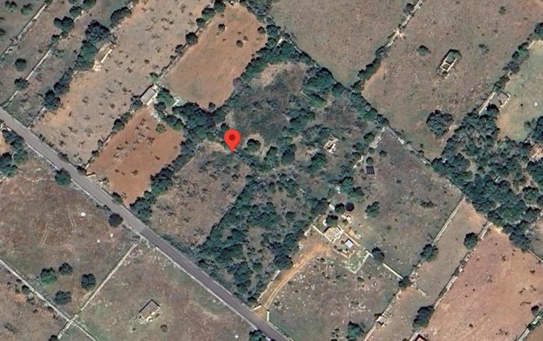 ¡Oportunidad! Terreno agrícola en Santa Margalida – 10.500 m² photo 0
