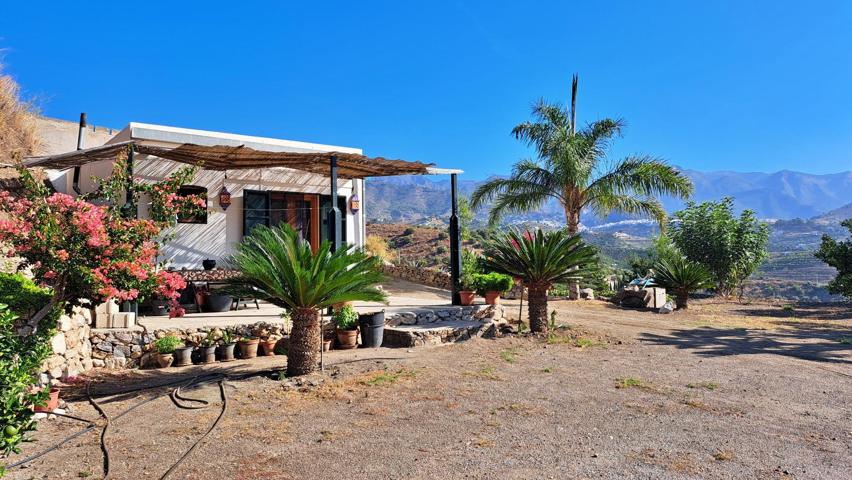Finca rustica entre Torrox y Frigiliana con apero, casa, aljibe y plantación. photo 0