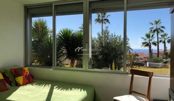 Estudio en Alquiler en Adeje Santa Cruz de Tenerife photo 0