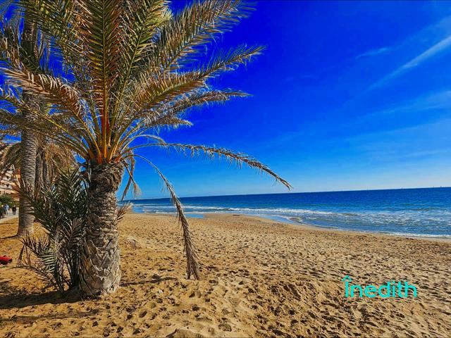Bonito piso planta baja en la playa con gran terraza, piscina y LICENCIA TURISTICA photo 0