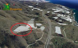 HAZNOS TU OFERTA DE PRECIO!! INVERNADERO en venta en Melicena photo 0