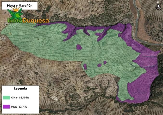 Finca rustica de 116,40 hectareas de OLIVAR en Loja. photo 0