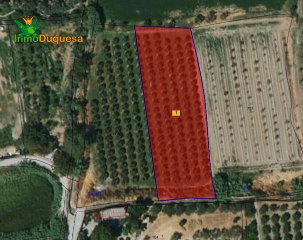 HAZNOS TU OFERTA DE PRECIO!! Terreno en venta en La Zubia photo 0