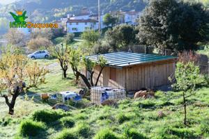 FINCA EN TOCON DE QUENTAR DONDE PONER TU CASA DE MADERA Y VIVIR EN PLENA NATURALEZA photo 0