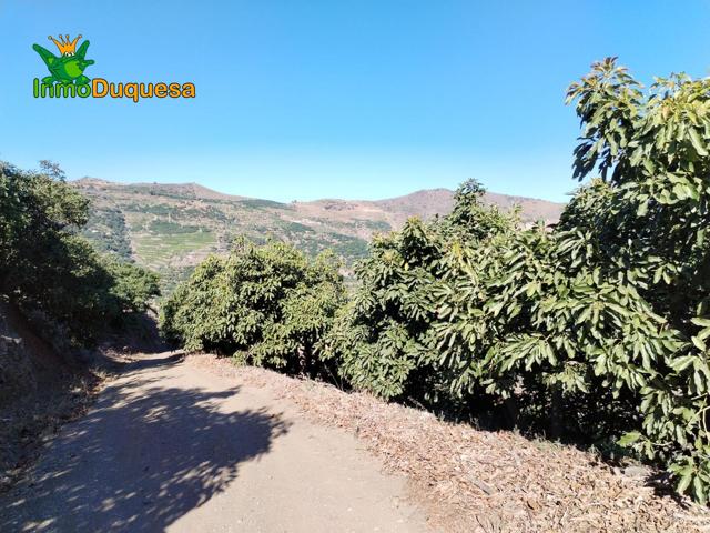 Terreno Urbanizable En venta en Almunecar, Almuñecar photo 0