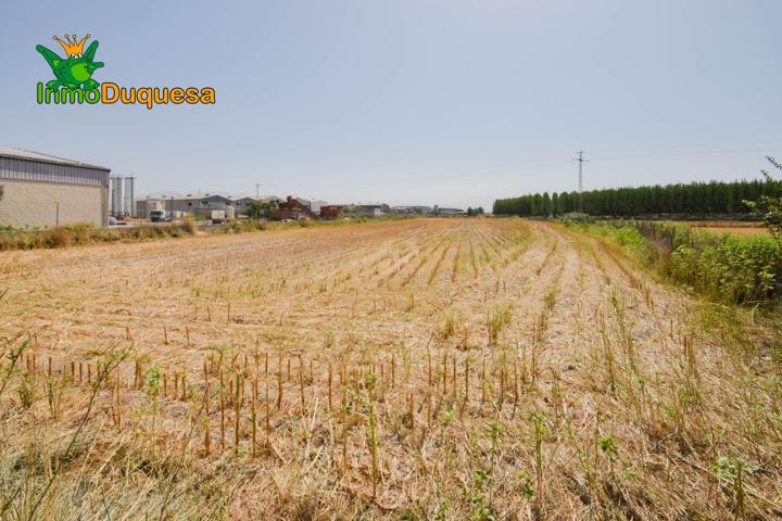 ¡Finca rústica de 4.785m² en Atarfe! photo 0