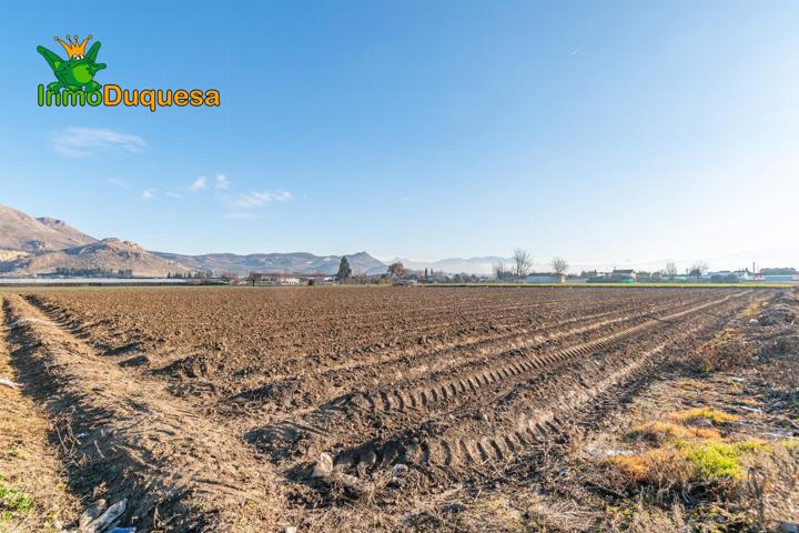 Venta de parcela de regadío en Fuente Vaquero photo 0