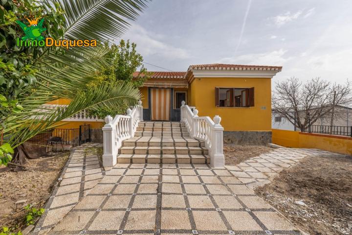 Magnífico chalet en 1 PLANTA con 1000 m² de solar photo 0