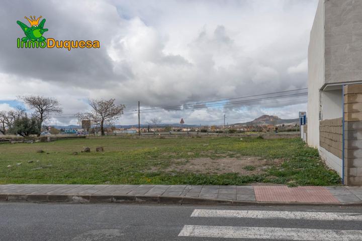 SOLAR EN OGIJARES PARA CONSTRUIR LA VIVIENDA DE SUS SUEÑOS photo 0