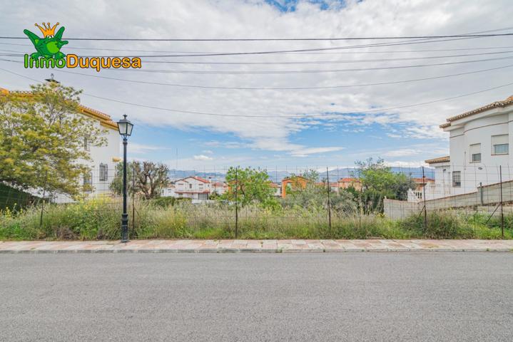 SOLAR EN CULLAR VEGA photo 0