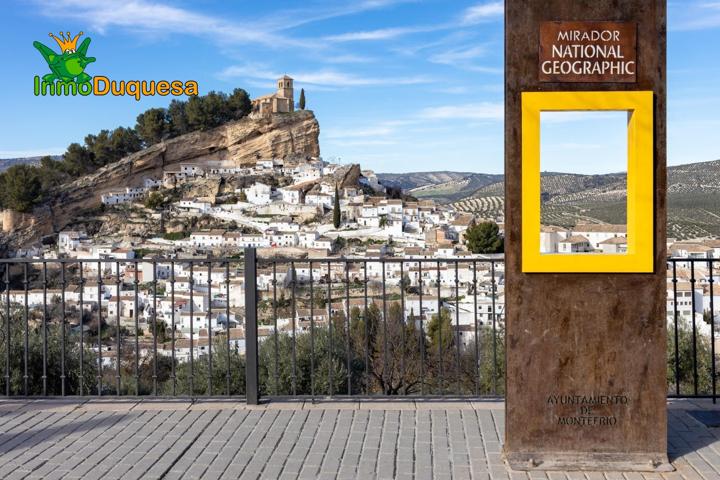 PRECIOSO TERRENO DE RECREO EN MONTEFRIO photo 0