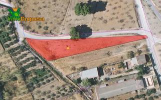 Terreno rústico en el Arroyo de Padul. photo 0