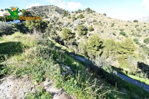 10.000 metros cuadrados de parcela urbana en la Urbanización de San Antonio, La Herradura, Almuñecar photo 0