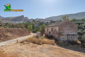 Terreno RÚSTICO con cortijo en Cogollos Vega photo 0