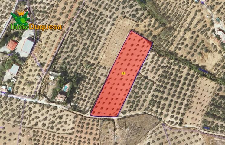 Finca rústica en Cogollos Vega (con toma de luz y agua en la entrada) photo 0