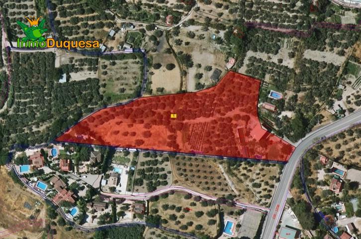 Finca Rústica de 10.458 m2 con construcción de 287 m2 - GOJAR photo 0