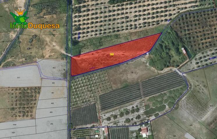 Finca rústica en Padul photo 0