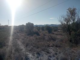 TERRENO DE 12.000 M2 CON PUNTO DE AGUA EN SAX photo 0