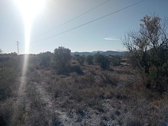 TERRENO DE 12.000 M2 CON PUNTO DE AGUA EN SAX photo 0
