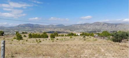 TERRENO RÚSTICO DE 40.000 M2 DE PARCELA EN CAMARA CON AGUA EN ELDA photo 0