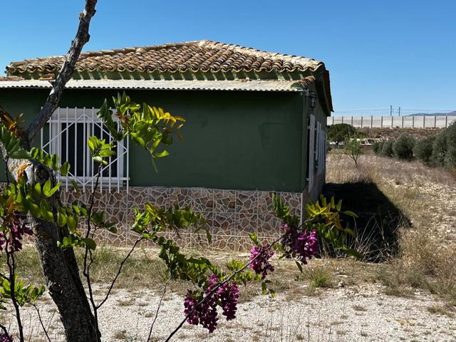 CHALET INDEPENDIENTE EN SAX VALLADO 16.000 M2 PARCELA 180 M2 CASA photo 0