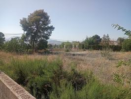 SE VENDEN PARCELAS EN PETRER ( ZONA DE SALINETAS) 840 M2 CADA UNA photo 0
